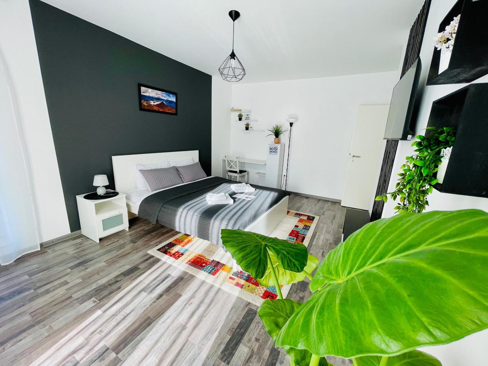 Appartement Montsee Braşov Extérieur photo